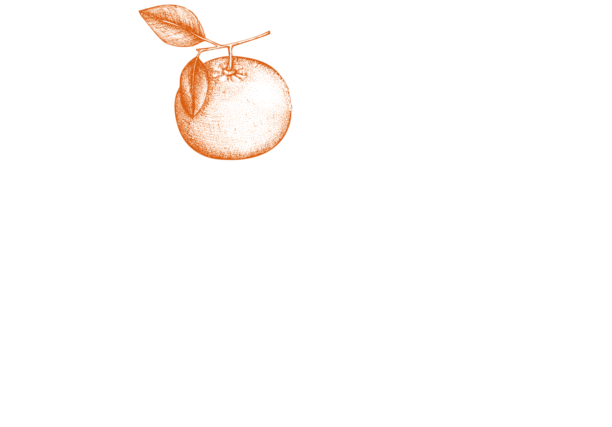 Clementine Catering by Amanda Clements Chorleywood and surrounds